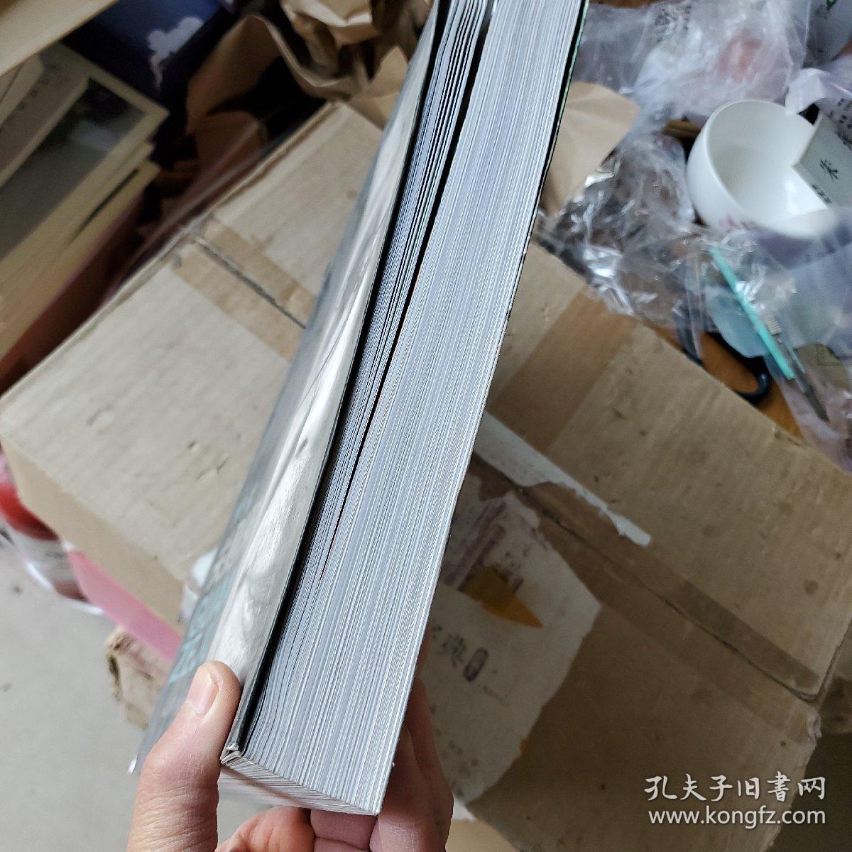 独行者·关则驹（8开 现货）彩印443页 4公斤