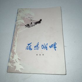 雁鸣湖畔