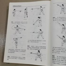 中国武术百科全书