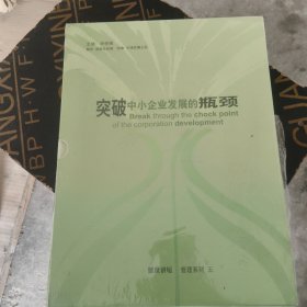 （8VCD）突破中小企业发展的瓶颈