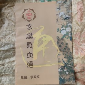 玄磁气血通