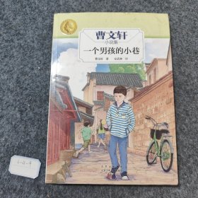 一个男孩的小巷