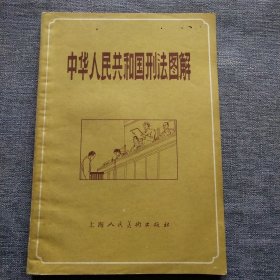 中华人民共和国刑法图解