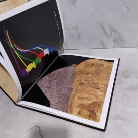 七只瞎老鼠：启发精选凯迪克大奖绘本