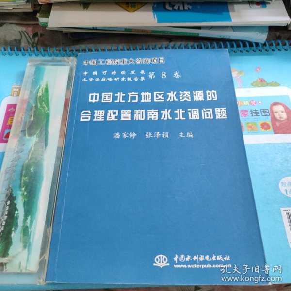 中国北方地区水资源的合理配置和南水北调问题——中国可持续发展水资源战略研究报告集（第8卷）