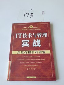 IT技术与管理实战：深度挖掘自我潜能