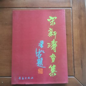 宋新涛画集