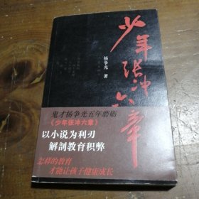 少年张冲六章杨争光  著作家出版社