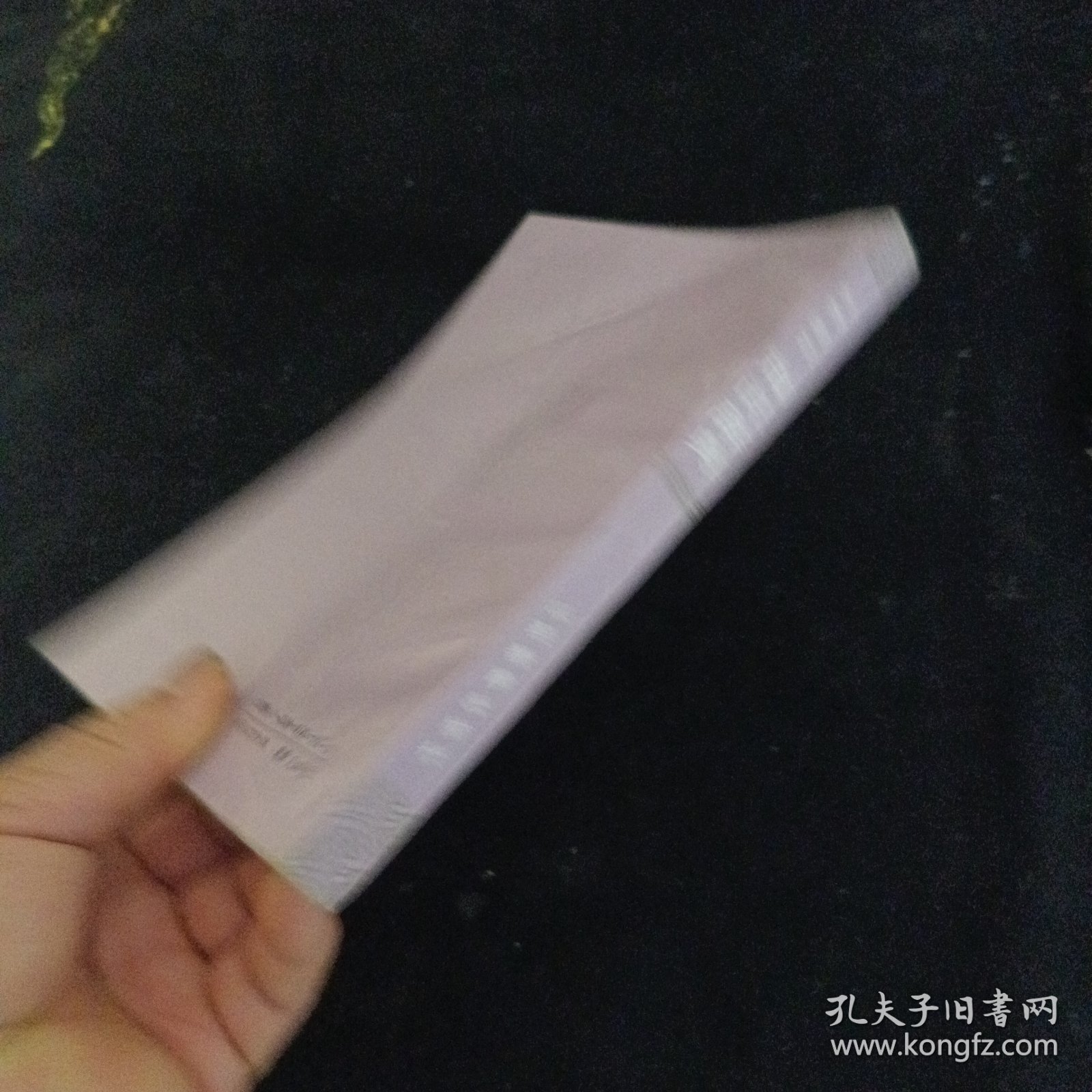 小学语文知识辞典
