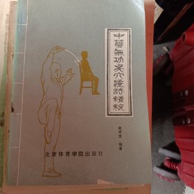 中华气功点穴疗法精粹