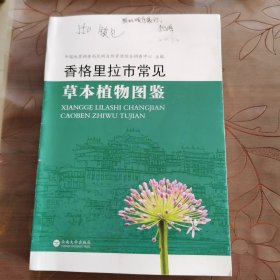 香格里拉市常见草本植物图鉴