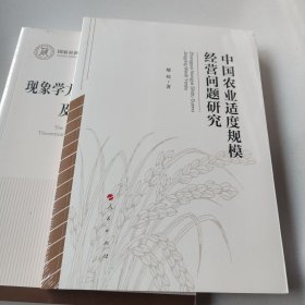 中国农业适度规模经营问题研究