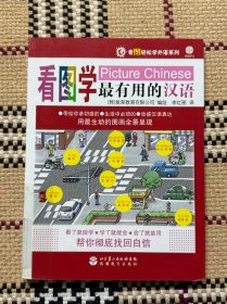看图学最有用的汉语（有光盘） 品相自鉴