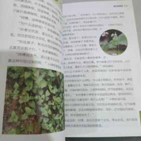 跟着小神农学认药丛书:跟着小神农学认药 清热解毒药