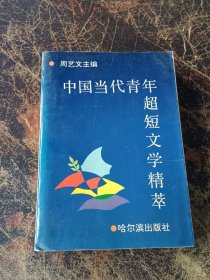 中国当代青年超短文学精萃  有勘误表
