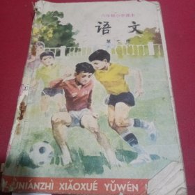 六年制小学课本语文第七册