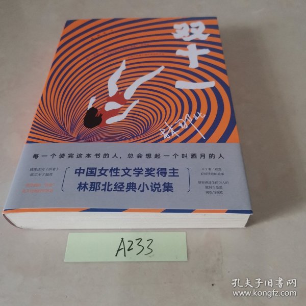 双十一（中国女性文学奖得主林那北经典小说集）