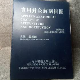 实用针灸解剖挂图（英汉对照）彩色12副
