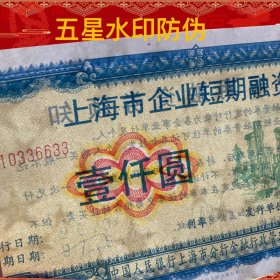 上海港龙进口汽车维修有限公司债券