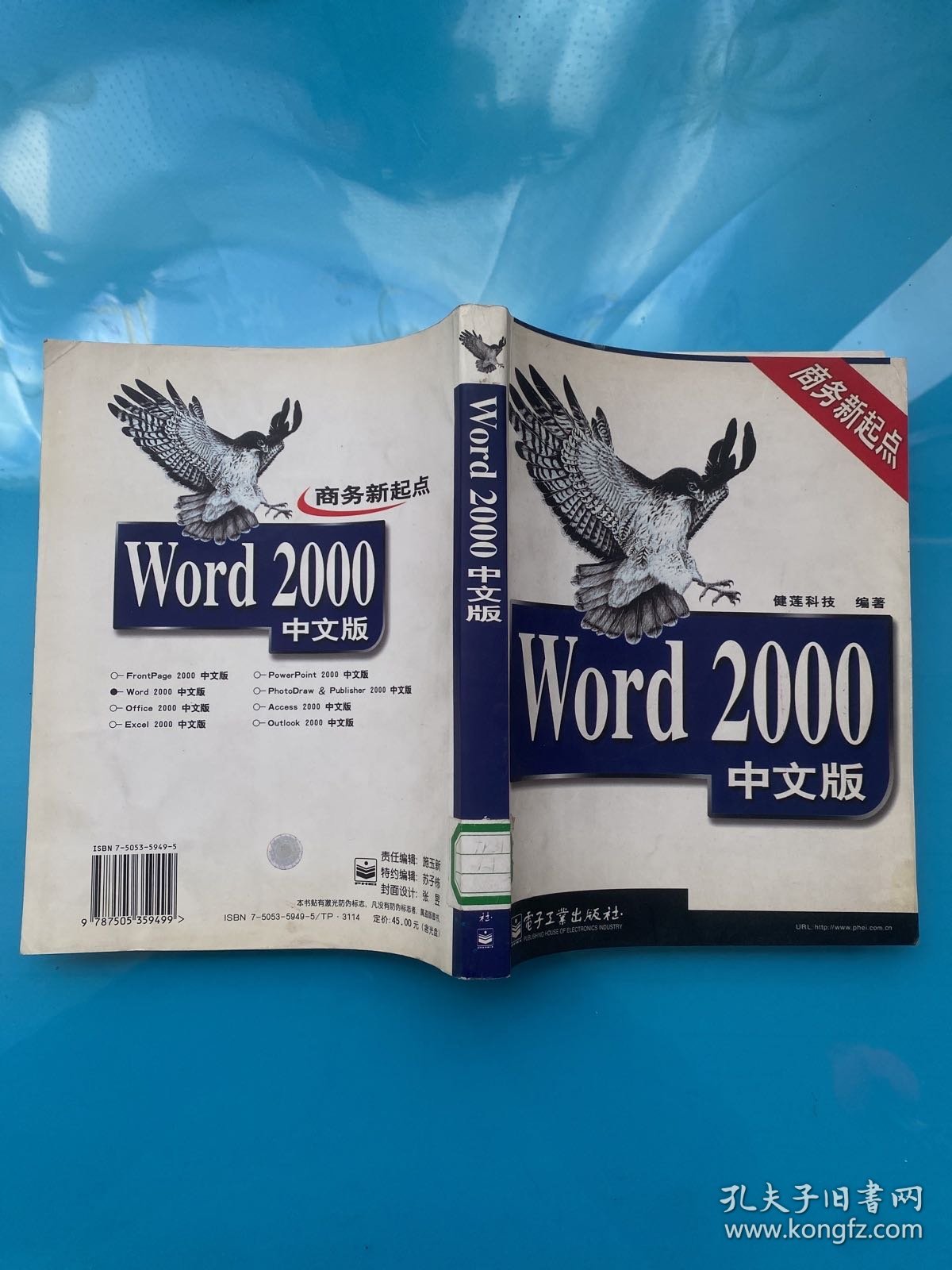 Word 2000中文版(无光盘)