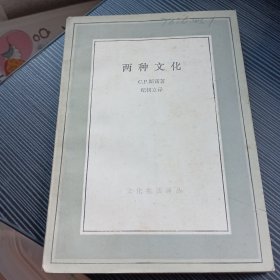 两种文化