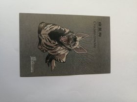 动物明信片