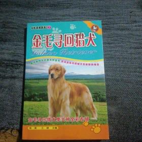 经典名犬系列2：金毛寻回猎犬