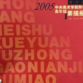 2005中央美术学院附中高年级素描报告