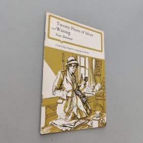 20块银币等待