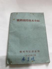 晚稻的栽培技术介绍。革命专区农业局1970。