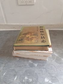 和林格尔县志<外加西厂圪洞村志>