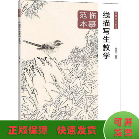 線描寫生教學(xué)臨摹范本