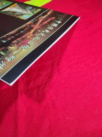 龙城史画-- 中国历史文化名城柳州