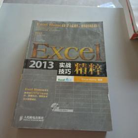 Excel 2013实战技巧精粹