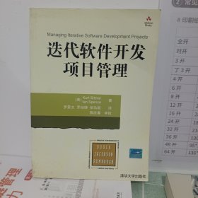 迭代软件开发项目管理