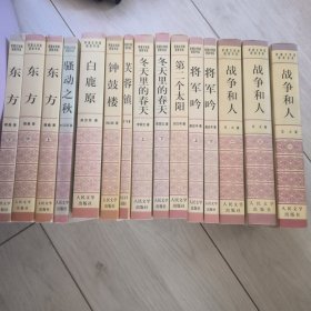 1993年版 30年了 矛盾文学奖获奖书系 白鹿原 战争和人 将军吟 第二个太阳 冬天里的春天 芙蓉镇 钟鼓楼 骚动之秋 东方 共（15卷）