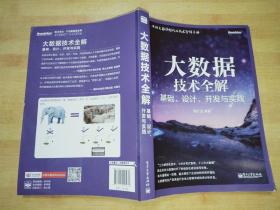 大数据技术全解：基础、设计、开发与实践