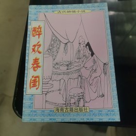 醉欢春闺