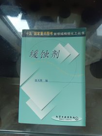 缓蚀剂——“十五”国家重点图书新领域精细化工丛书