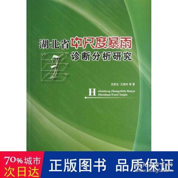 湖北省中尺度暴雨诊断分析研究