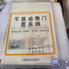 节肢动物门昆虫纲 挂图16幅