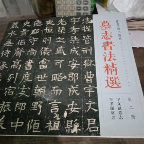 墓志书法精选（第2册 宇文斌墓志 王孝康墓志）