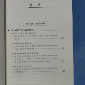 力量与利益：知识产权保护案例启示录（内页干净品好）