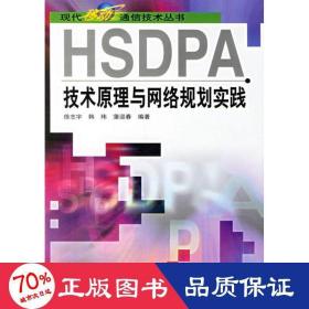 hsdpa技术与网络规划实践 网络技术 徐志宇//韩玮//蒲迎春