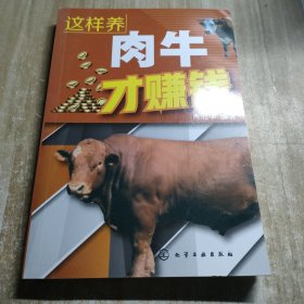 这样养肉牛才赚钱