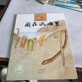 藏在泥滩里