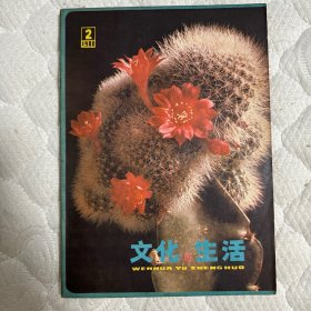 文学类期刊：《 文化与生活 》--- 1980年第2辑