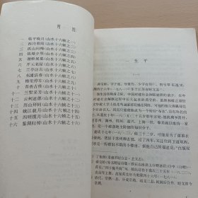 中国画家丛书: 蒋宝龄