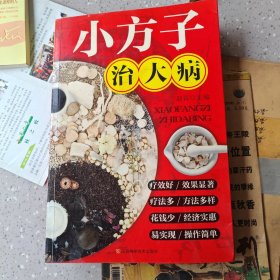 小方子治大病
