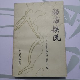 渤海铁流 1985